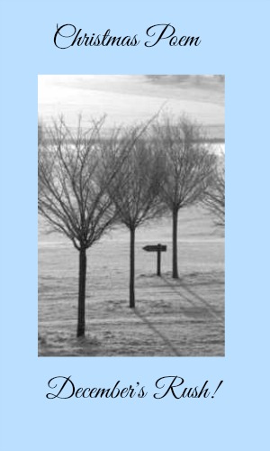 Christmas Poem: December's Rush!