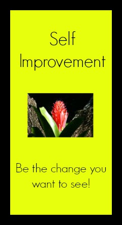 February's Theme Reveal