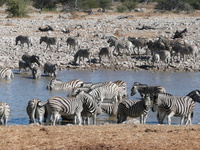 Interview Techniques To Land That Dream Job