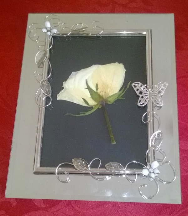 Pressed Flowers: A How To Guide