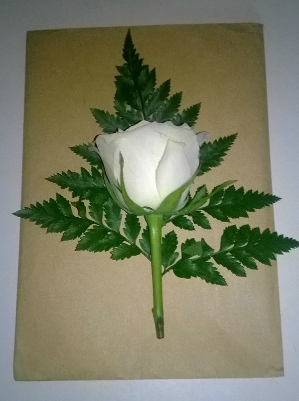 Pressed Flowers: A How To Guide