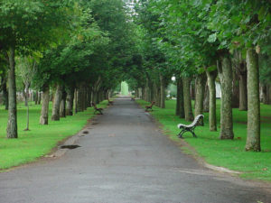 Free Family Days Out