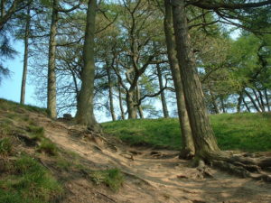 Free Family Days Out