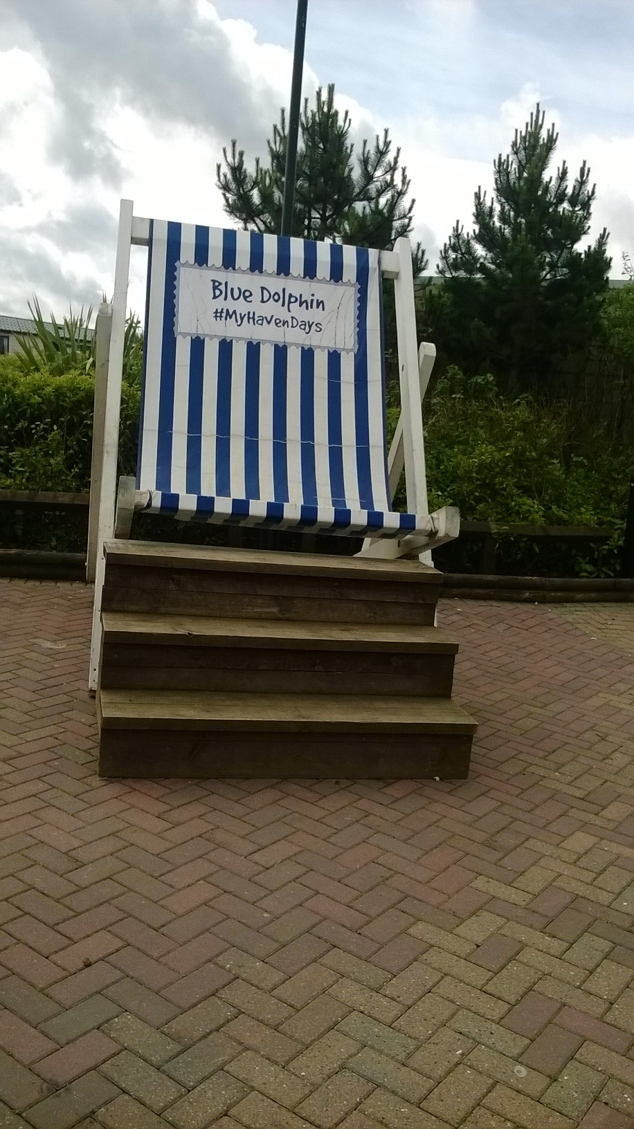 Haven Blue Dolphin: Our Holiday Review