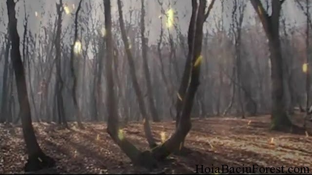 Haunted Locations Bucket List