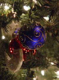 Spread Some Cheer This Holiday Season