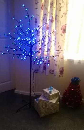 Winter Wonderland Christmas Decorations