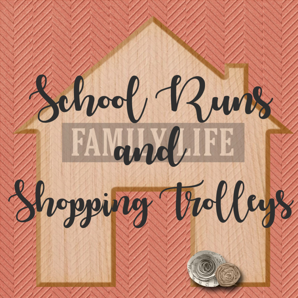 Blogger Spotlight Interview: School Runs and Shopping Trolleys
