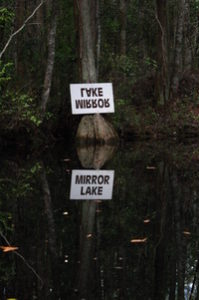 January: Looking Back and Looking Forward 