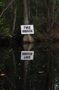 January: Looking Back and Looking Forward