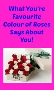 What Your Favourite Colour of Roses Says About You