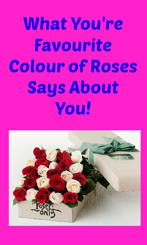 What Your Favourite Colour of Roses Says About You
