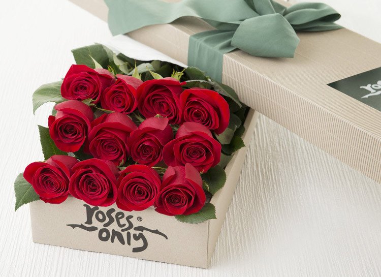 What Your Favourite Colour of Roses Says About You