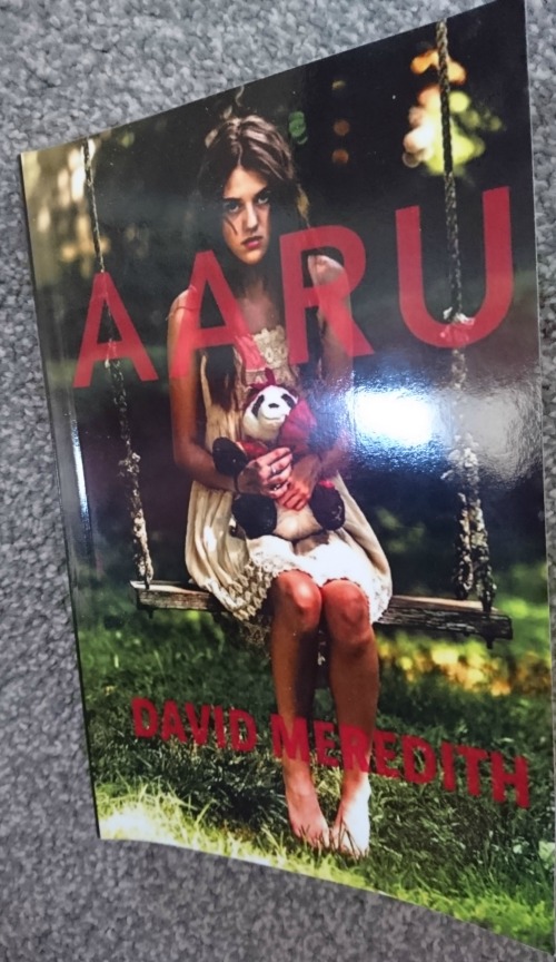 book cover of Aaru showing a young girl in a white dress sitting on a swing holding a stuffed panda