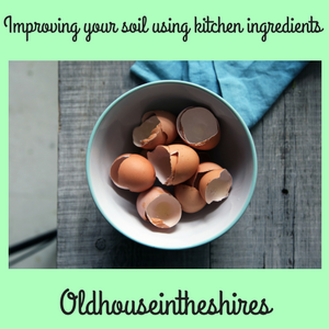 #BCUK featured Post Image