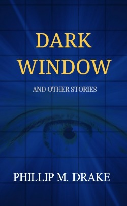 Dark Window book cover