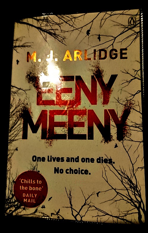 Eeny Meeny by M J Aldridge book cover