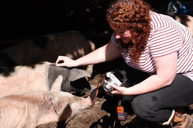 Laura from Day Dreaming Foodie