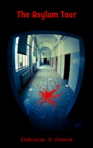 The Asylum Tour book cover