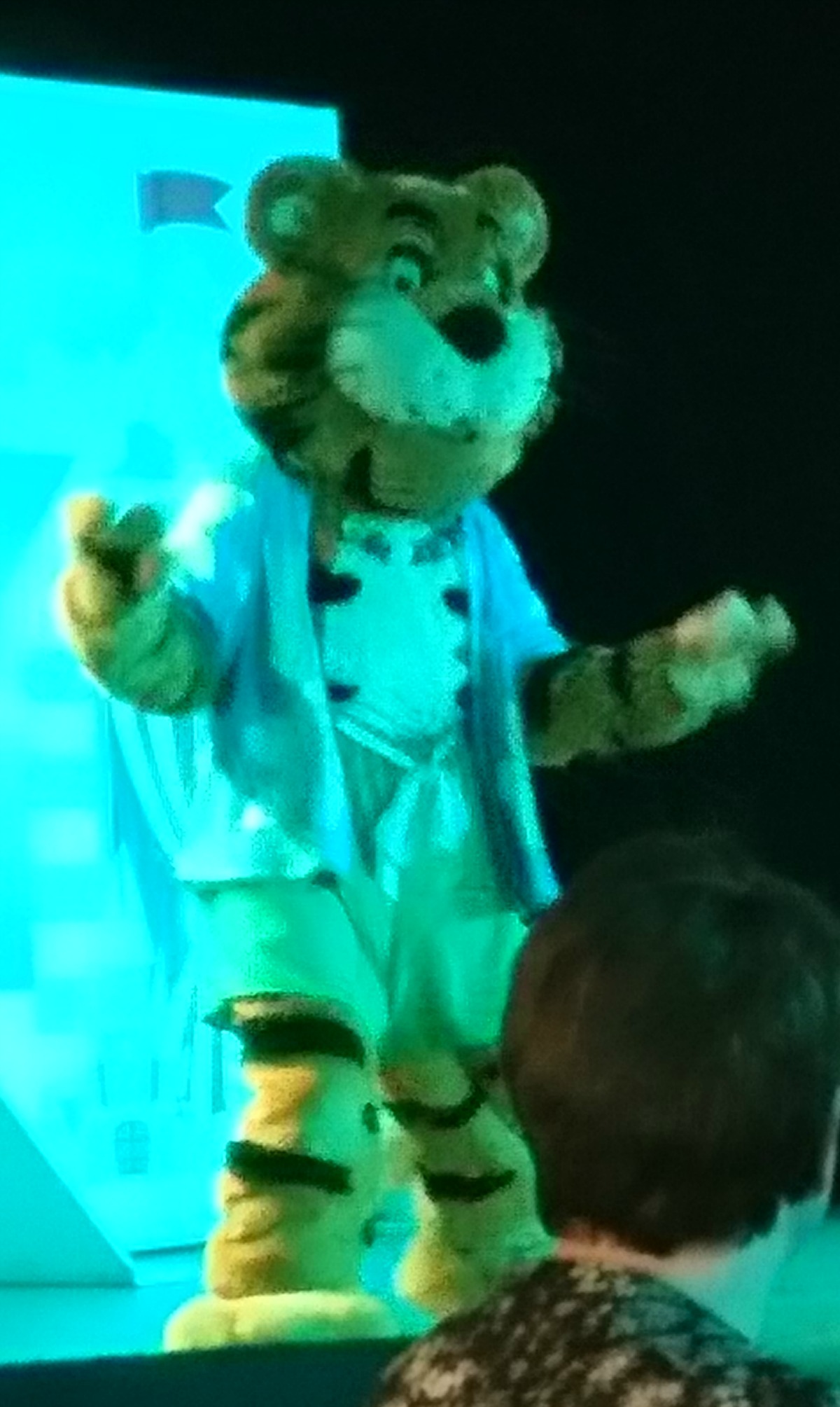 Rory the Tiger at Haven Blue Dolphin