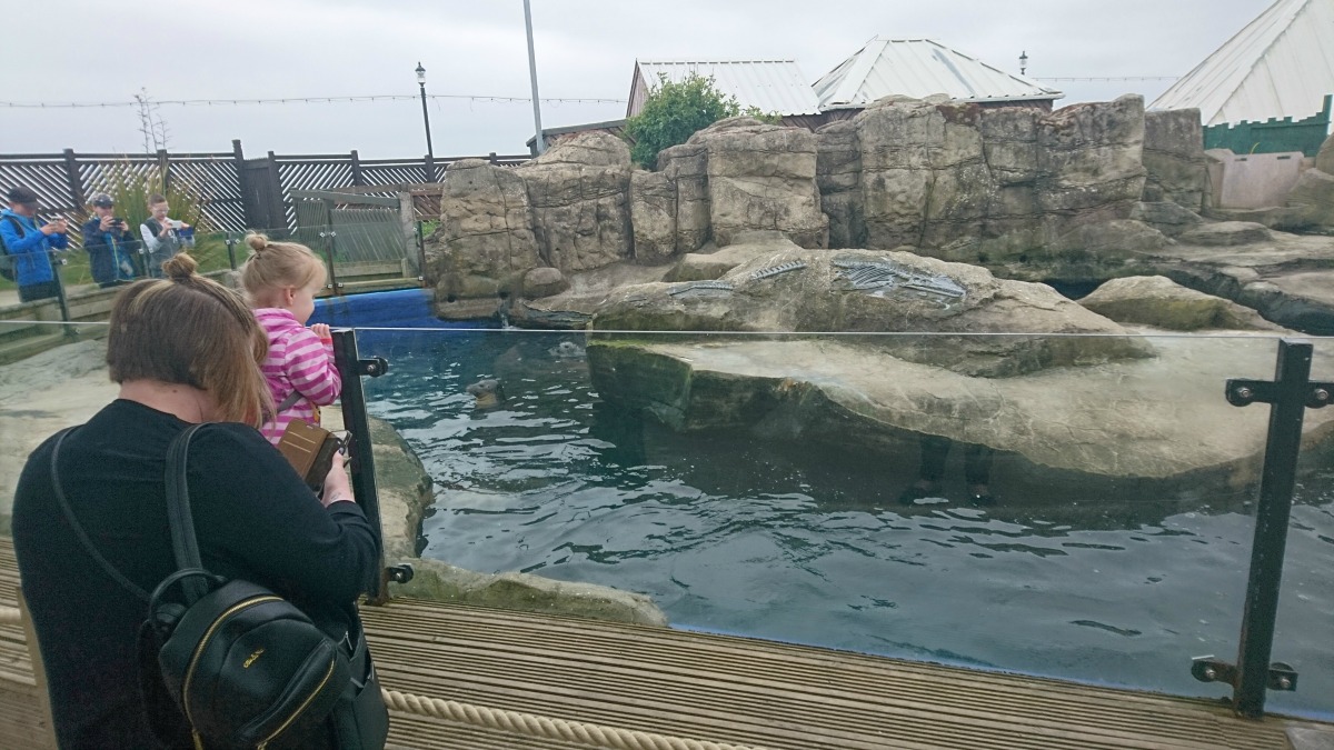 The seal enclosure at Scarborough Sealife Centre which we visited while staying at Haven Blue Dolphin