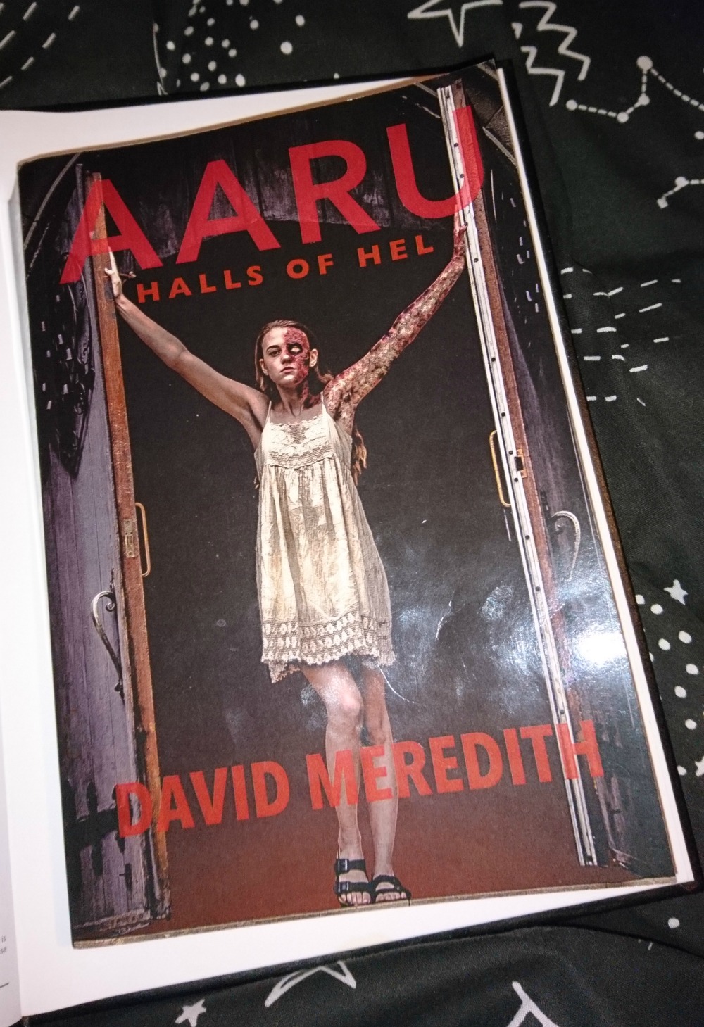 Aaru: Halls of Hel by David Meredith Book Cover