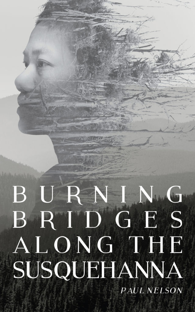 Burning Bridges Along the Susquehanna by Paul Nelson book cover