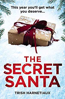 The Secret Santa by Trish Harnetiaux
