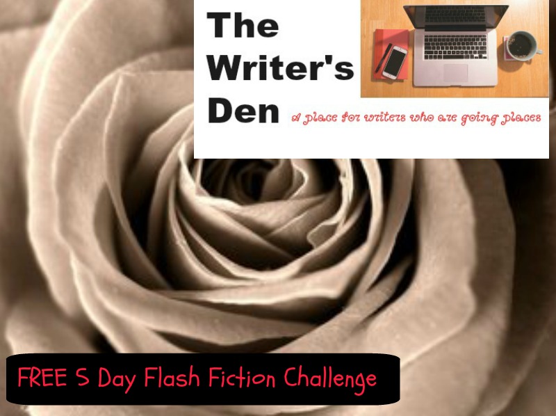 FREE 5 day flash fiction challenge graphic