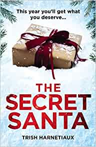 The secret santa book cover