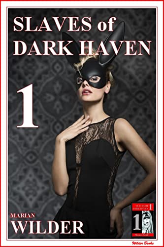 Slaves of dark haven book 1 book cover