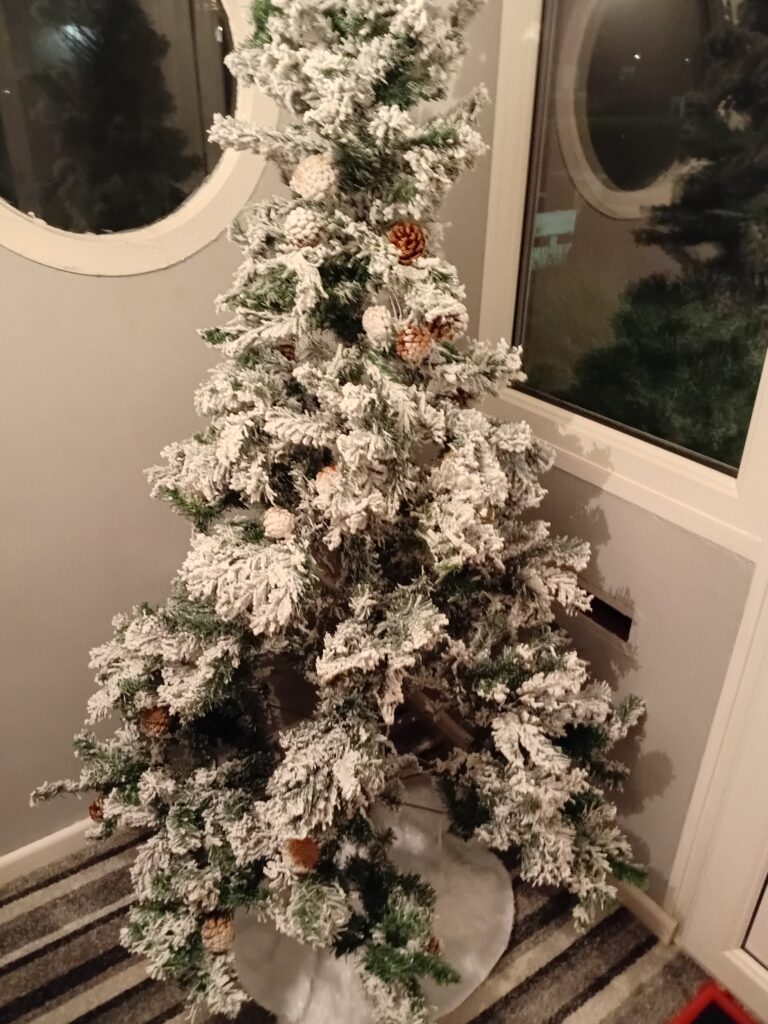 #A-ZChallenge 2026, Day Twenty Five, Y