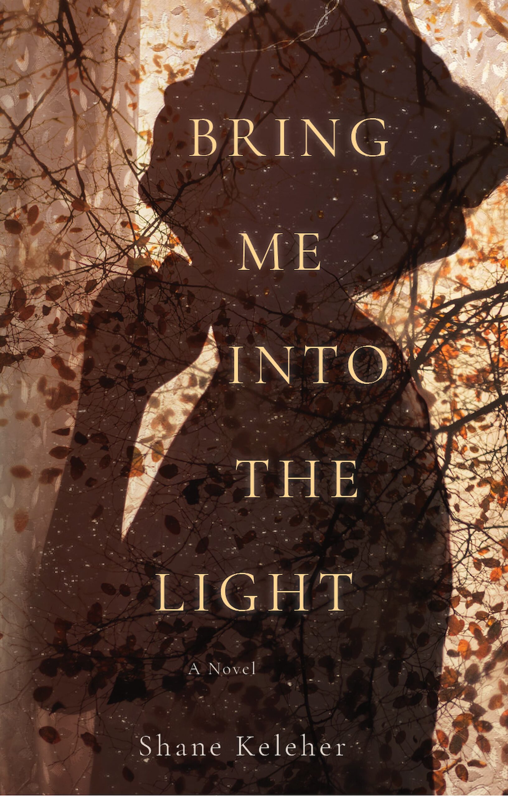 Bring Me into the Light book cover
